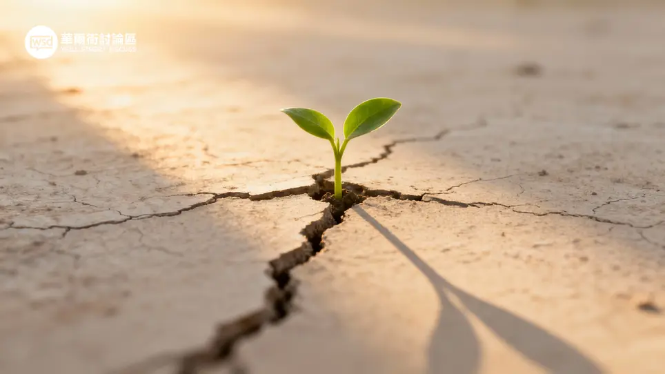 華爾街討論區｜投資人的聚腳地 – 全方位金融投資論壇 ︱ 股票、加密貨幣、ETF、外匯、商品期貨、債券、房地產