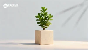 華爾街討論區｜投資人的聚腳地 – 全方位金融投資論壇 ︱ 股票、加密貨幣、ETF、外匯、商品期貨、債券、房地產